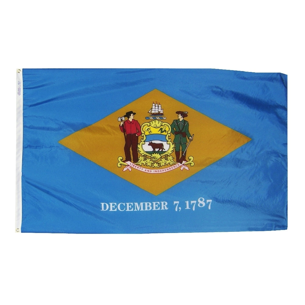 Delaware Flag