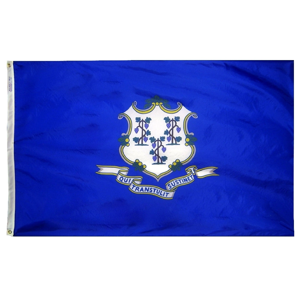 Connecticut Flag